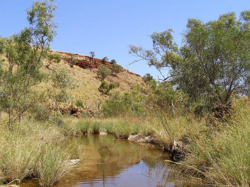 Un ruisseau dans la chaîne de Hamersley, le paysage du Pilbara où se trouve la gorge de Juukan